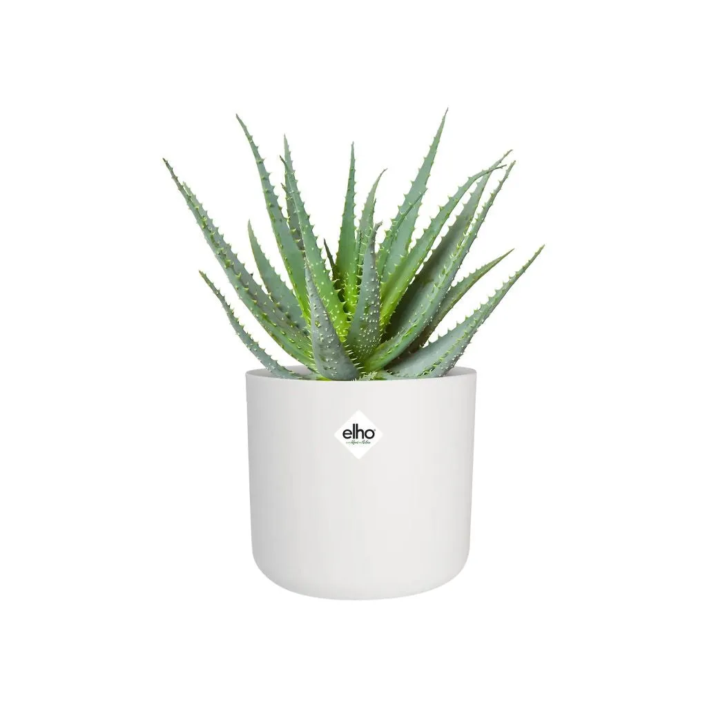 elho b. for Soft Round Pot