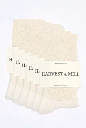 Men's 6 Pack Organic Cotton Socks Natural-White Crew
